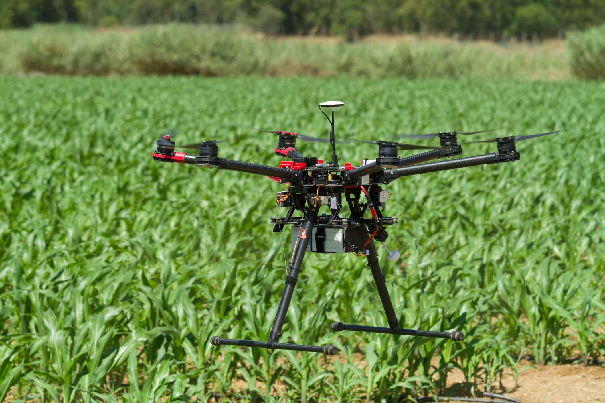 En este momento estás viendo Cómo puede el uso de drones para la inspección de los territorios agrícolas?